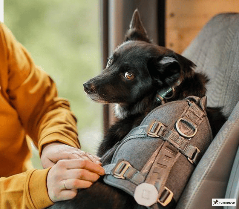 Hurtta Travel Harness ECO