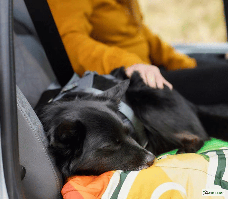 Hurtta Travel Harness ECO