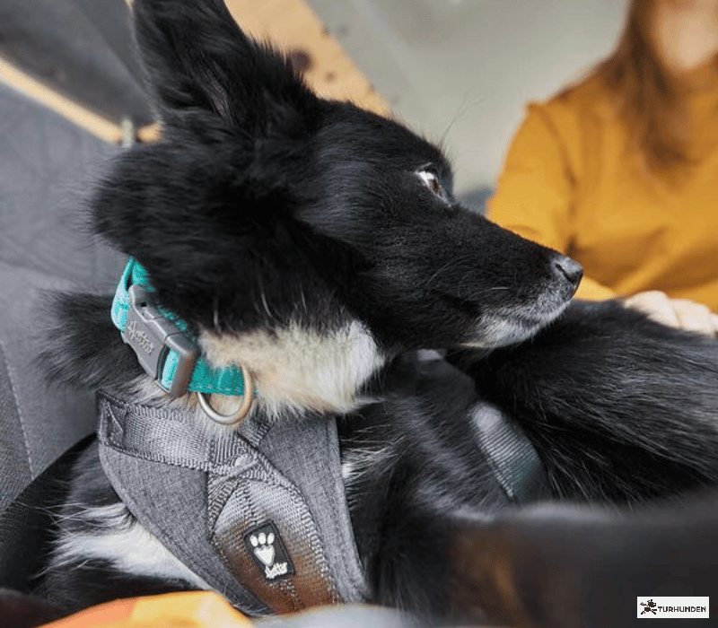 Hurtta Travel Harness ECO