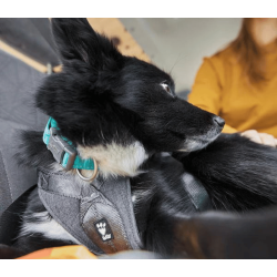 Hurtta Travel Harness ECO