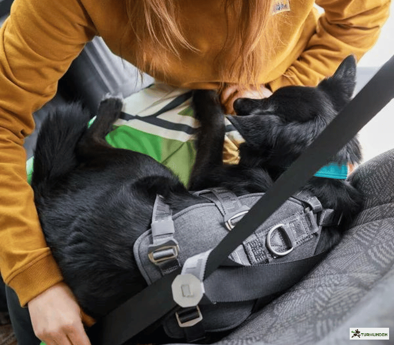 Hurtta Travel Harness ECO