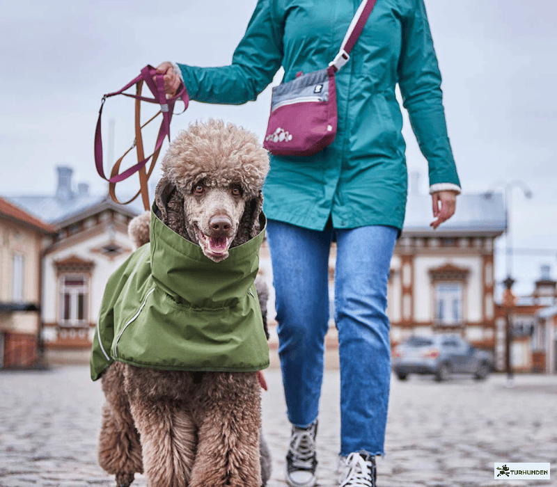 Hurtta Treat Pocket godbidstaske