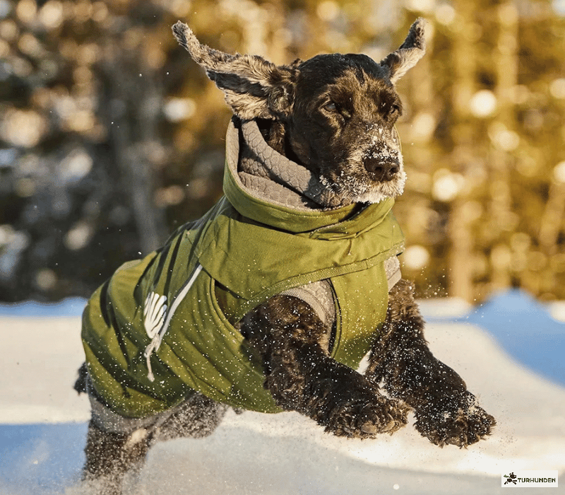 Hurtta Walk All-Season Jacket