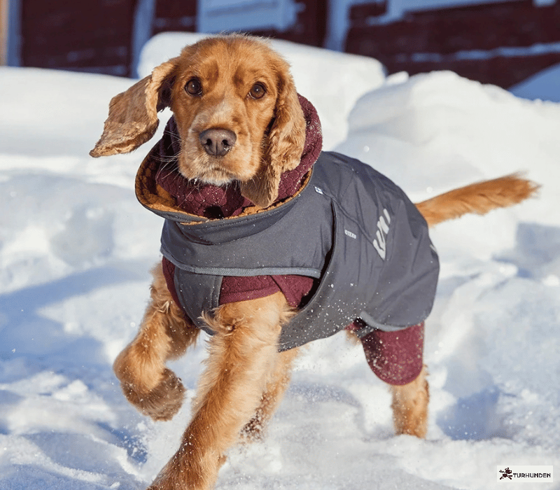 Hurtta Walk All-Season Jacket