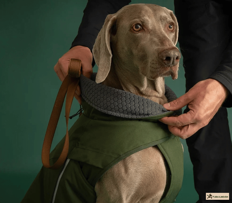 Hurtta Walk All-Season Jacket