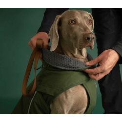 Hurtta Walk All-Season Jacket