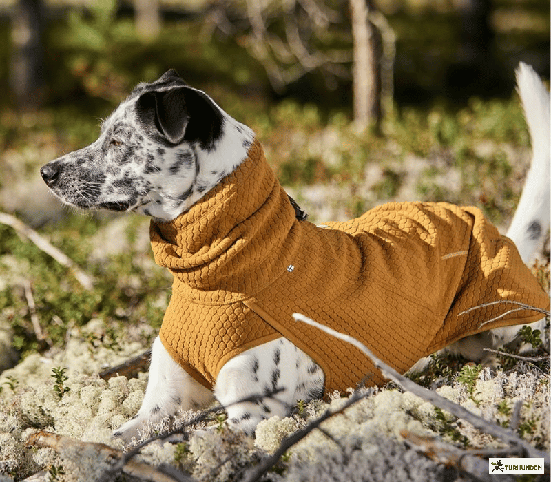 Hurtta Warming Midlayer ECO Dog Jacket