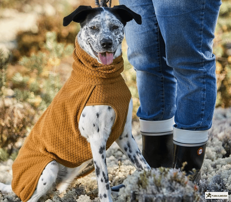 Hurtta Warming Midlayer ECO Dog Jacket