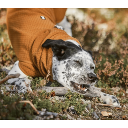 Hurtta Warming Midlayer ECO Dog Jacket