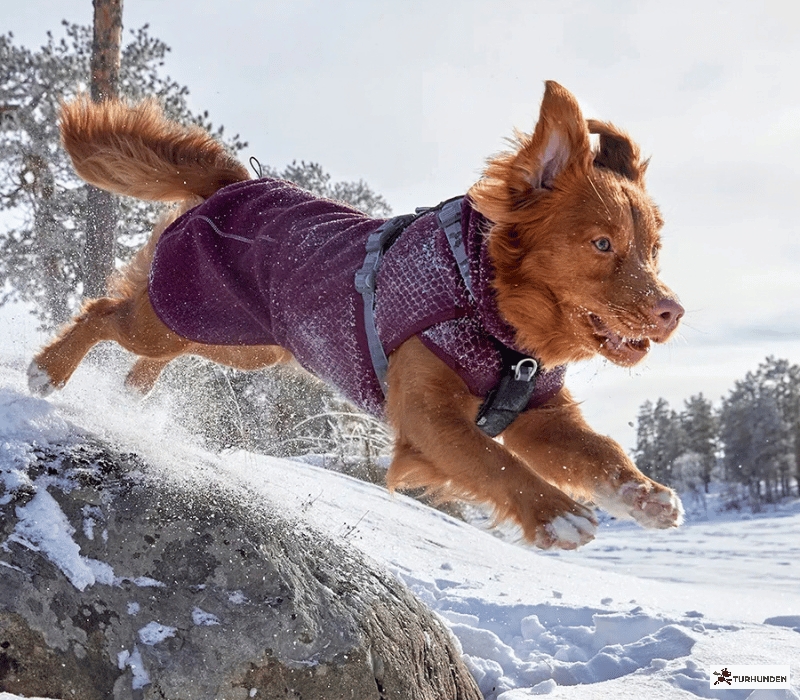 Hurtta Warming Midlayer ECO Dog Jacket
