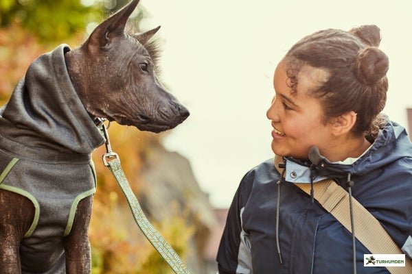 Hurtta Midlayer Jacket, Blackberry