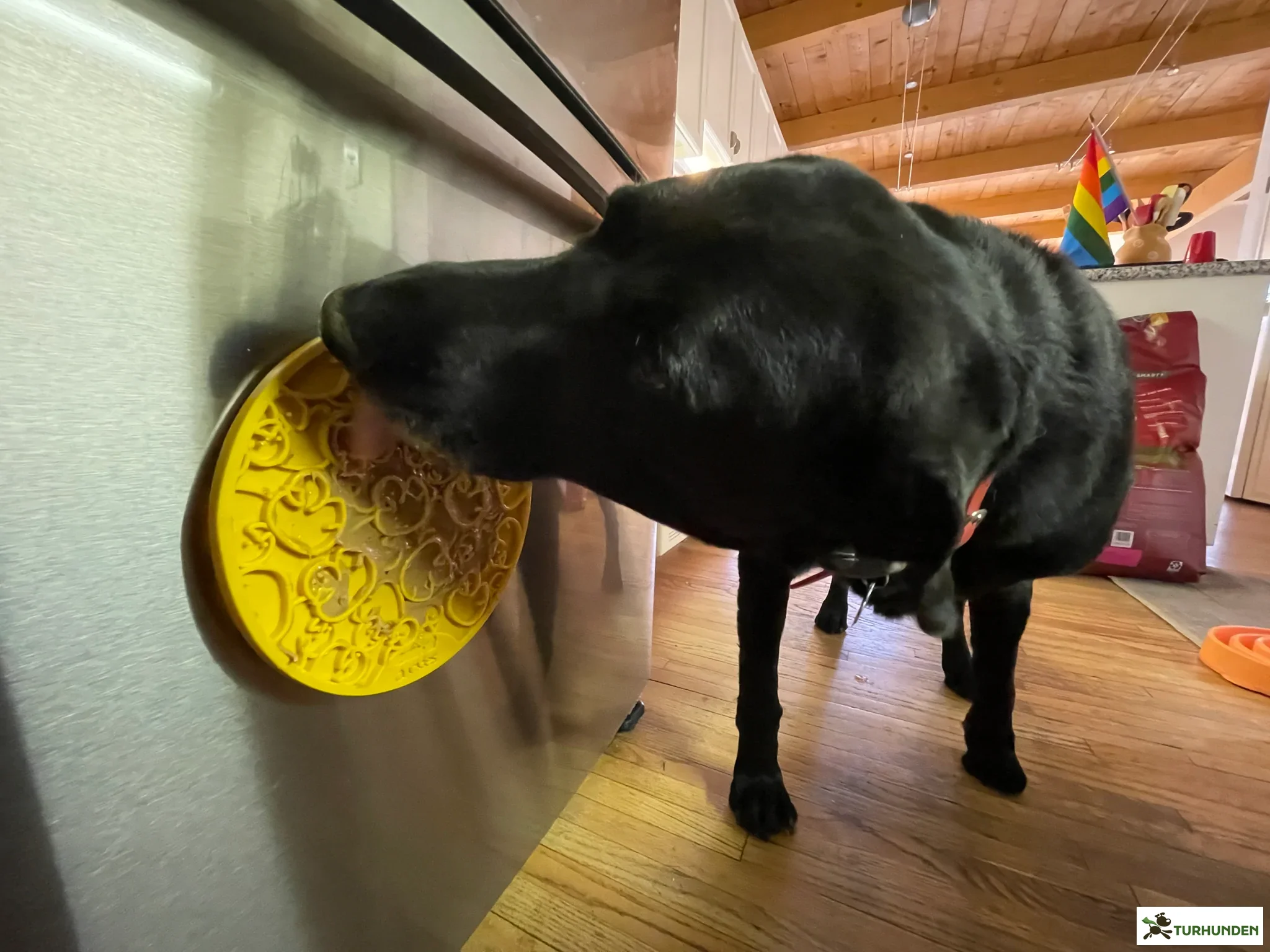 Sodapup Emat Duckies