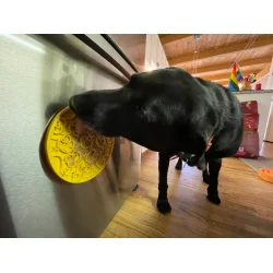 Sodapup Emat Duckies