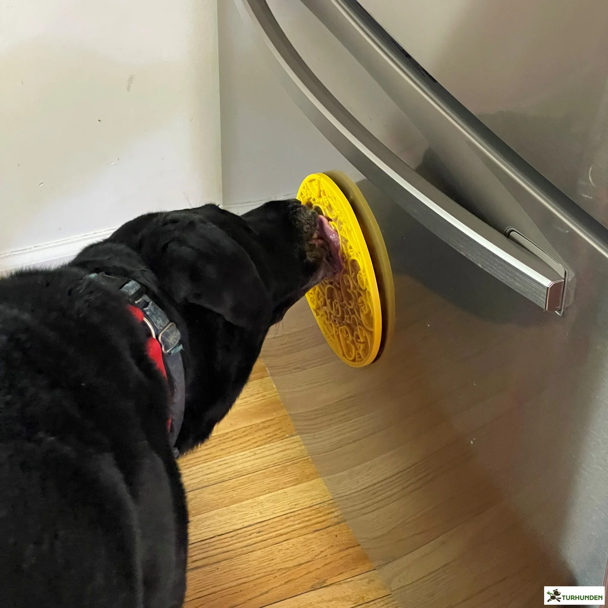 Sodapup Emat Duckies