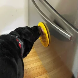 Sodapup Emat Duckies