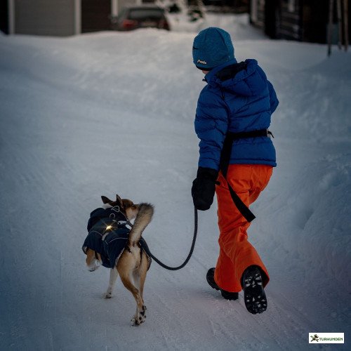 Orbiloc Dog Dual - Gul