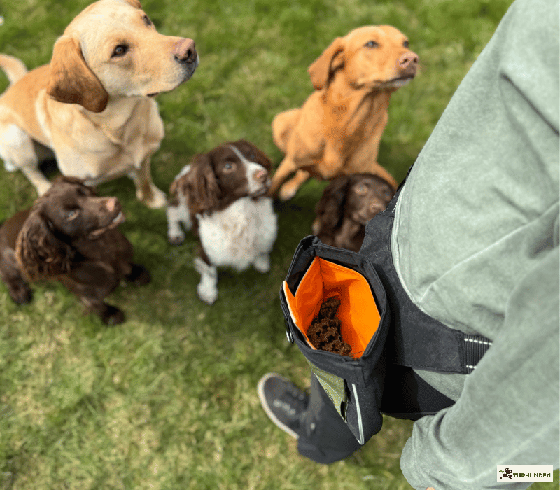 Dicte godbidstaske fra J&J  version 2.0