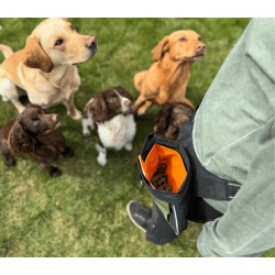 Dicte godbidstaske fra J&J  version 2.0