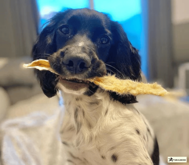 JR Pet Kaninrer med Pels