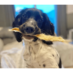 JR Pet Kaninrer med Pels