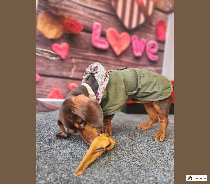 Jr Pet Products Gederer 130 g