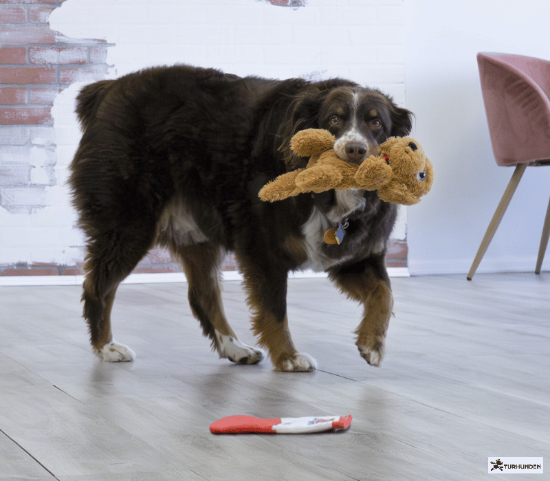 KONG Comfort Pups Goldie