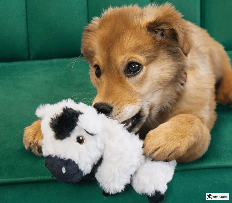 KONG Comfort Tykes Cow