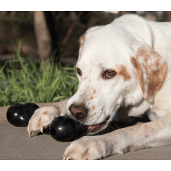 KONG - Goodie Bone Extreme
