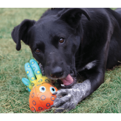 KONG Shieldz Tropics