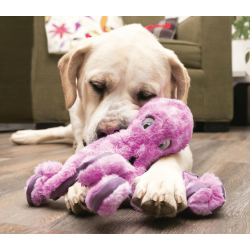 KONG SoftSeas Octopus
