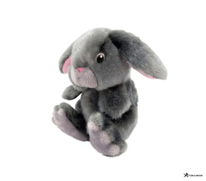 KONG Toughz Bunny