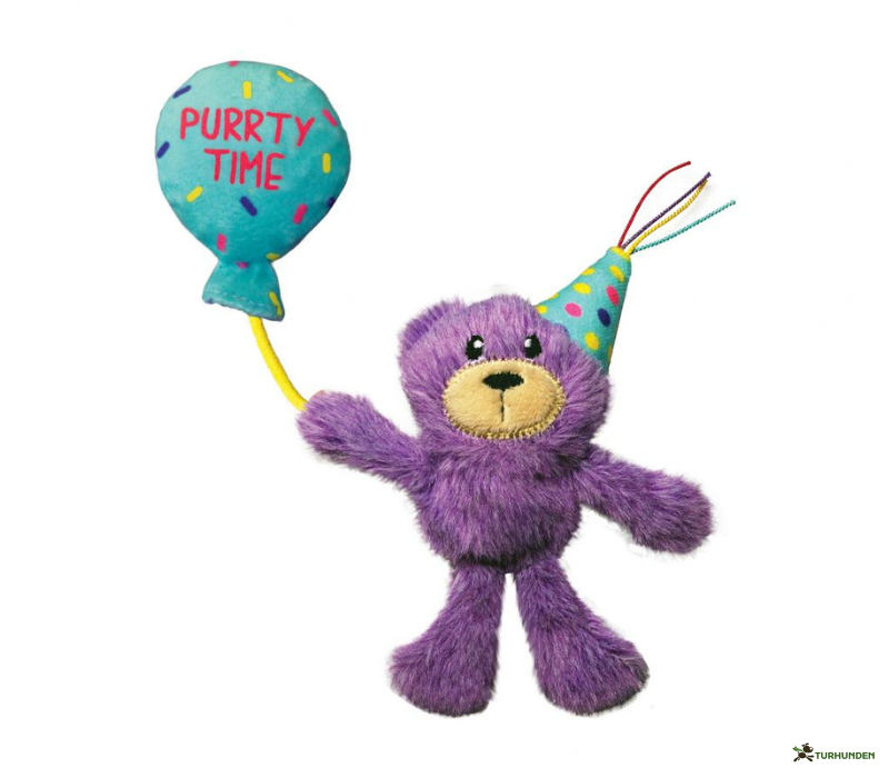 KONG birthday teddy