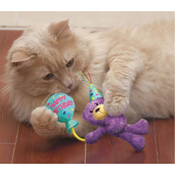 KONG birthday teddy