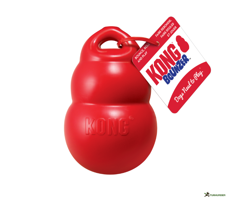 KONG Bounzer