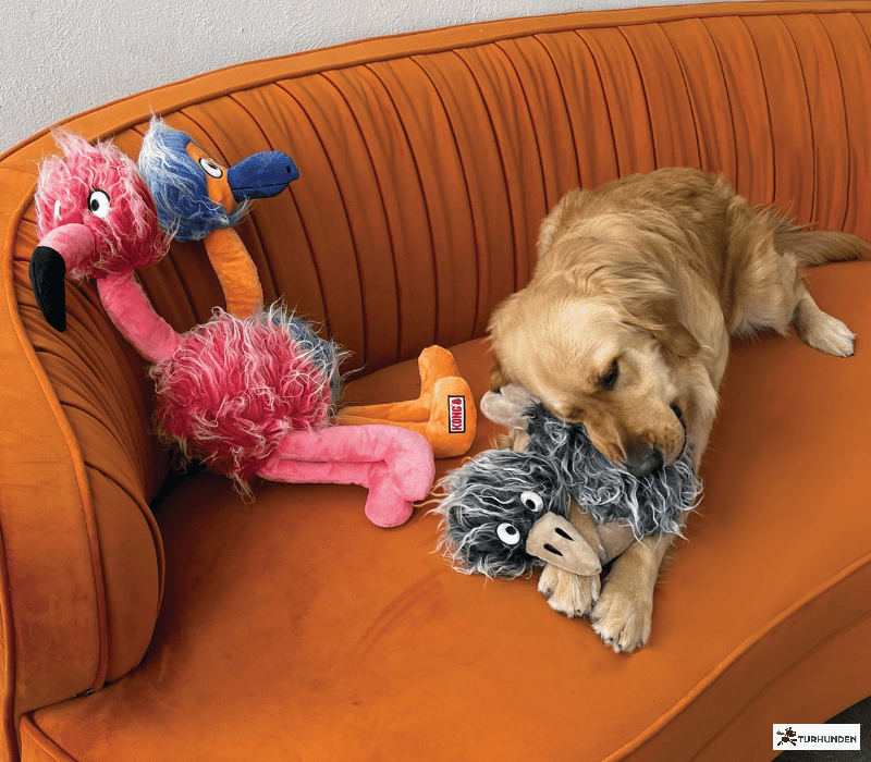 Kong Comfort Jumbo Birds