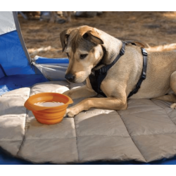 Kurgo Collaps-a-bowl-