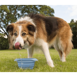 Kurgo Collaps-a-bowl-