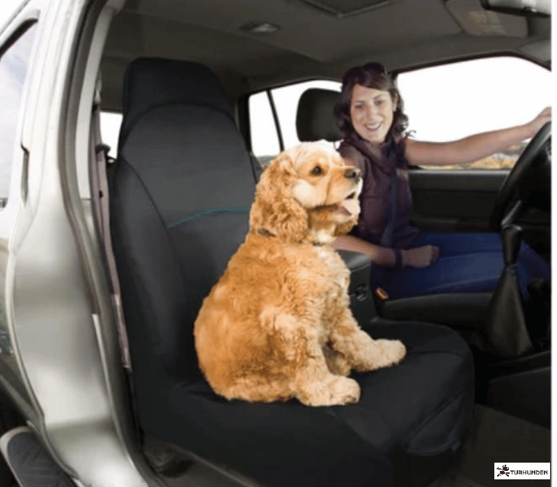 Kurgo Forsde overtrk -Rover