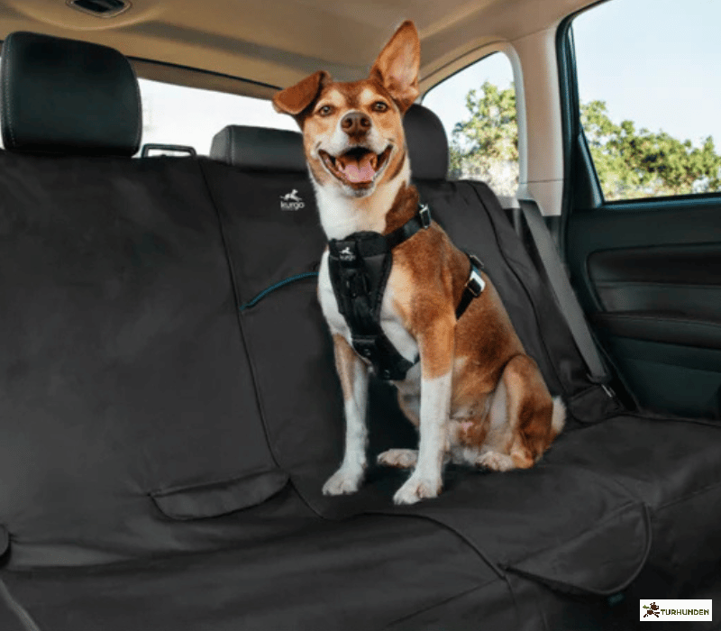 Kurgo Bagsde beskytter - Rover Bench