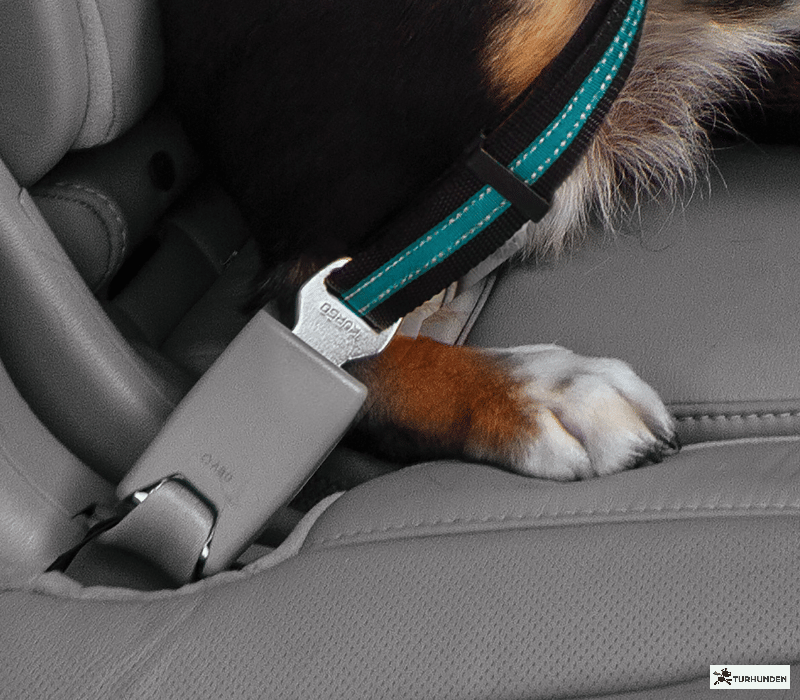 Kurgo strop til bilens selels m swivel