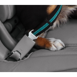 Kurgo strop til bilens selels m swivel