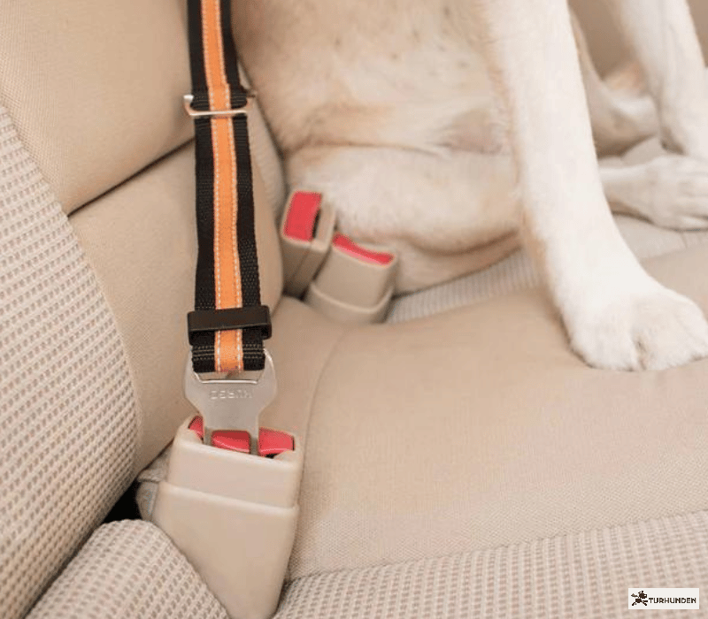 Kurgo strop til bilens selel�s 