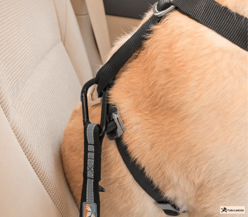 Kurgo strop til bilens selel�s 