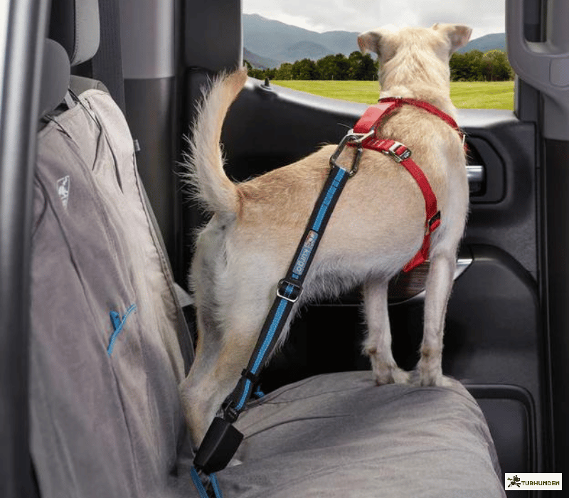 Kurgo strop til bilens selel�s 