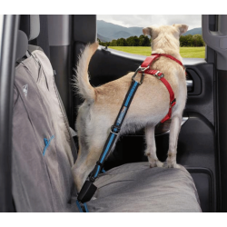 Kurgo strop til bilens selel�s 