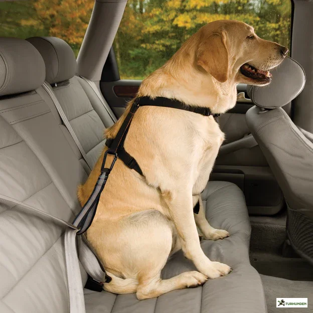 Kurgo Strop til sikkerhedsselen 