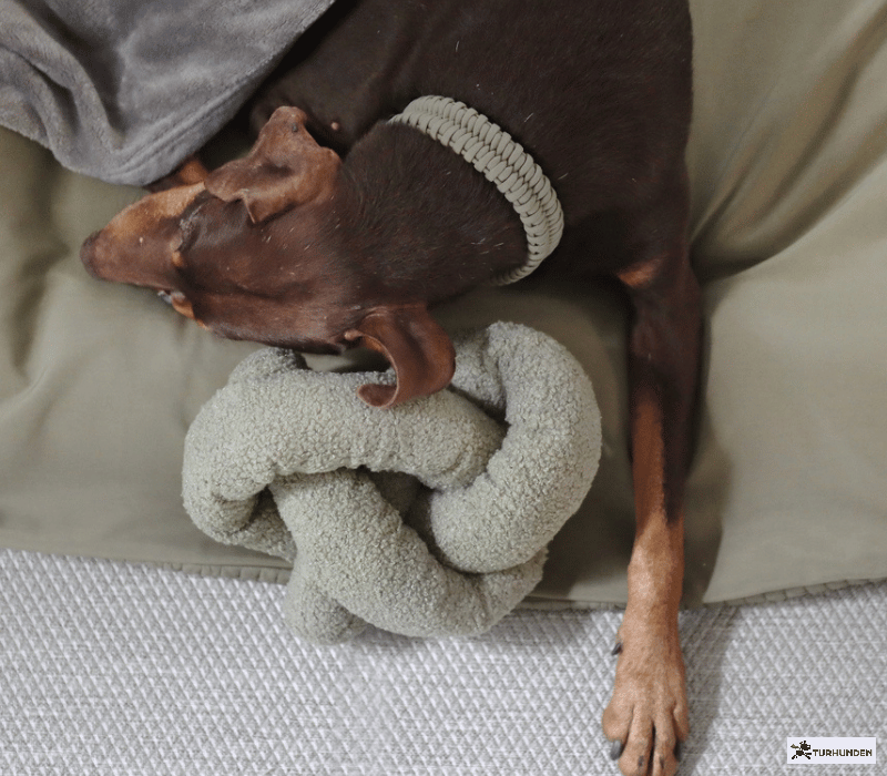 Lambwolf Collective - O nou