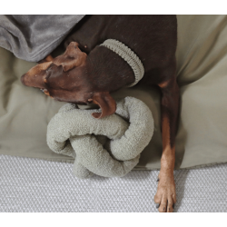 Lambwolf Collective - O nou