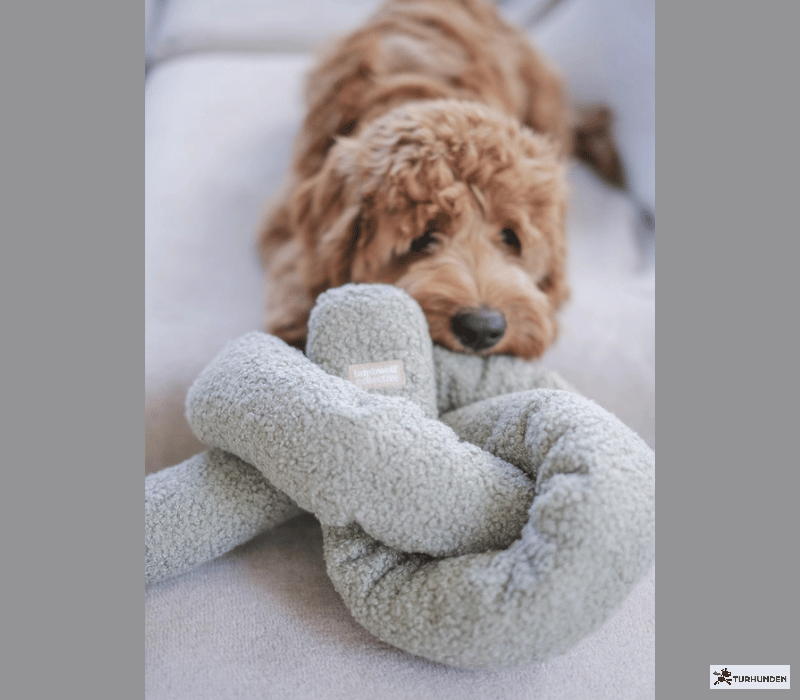 Lambwolf Collective - O nou