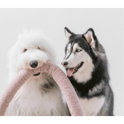 Lambwolf Collective - O nou